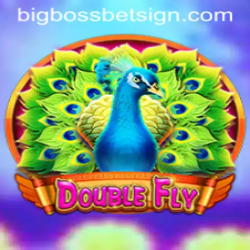 Unveiling DoubleFly: A New Era in Gaming with BigBossBet